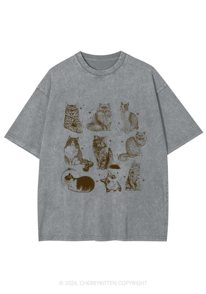 Retro Kitten Y2K Washed Tee Cherrykitten