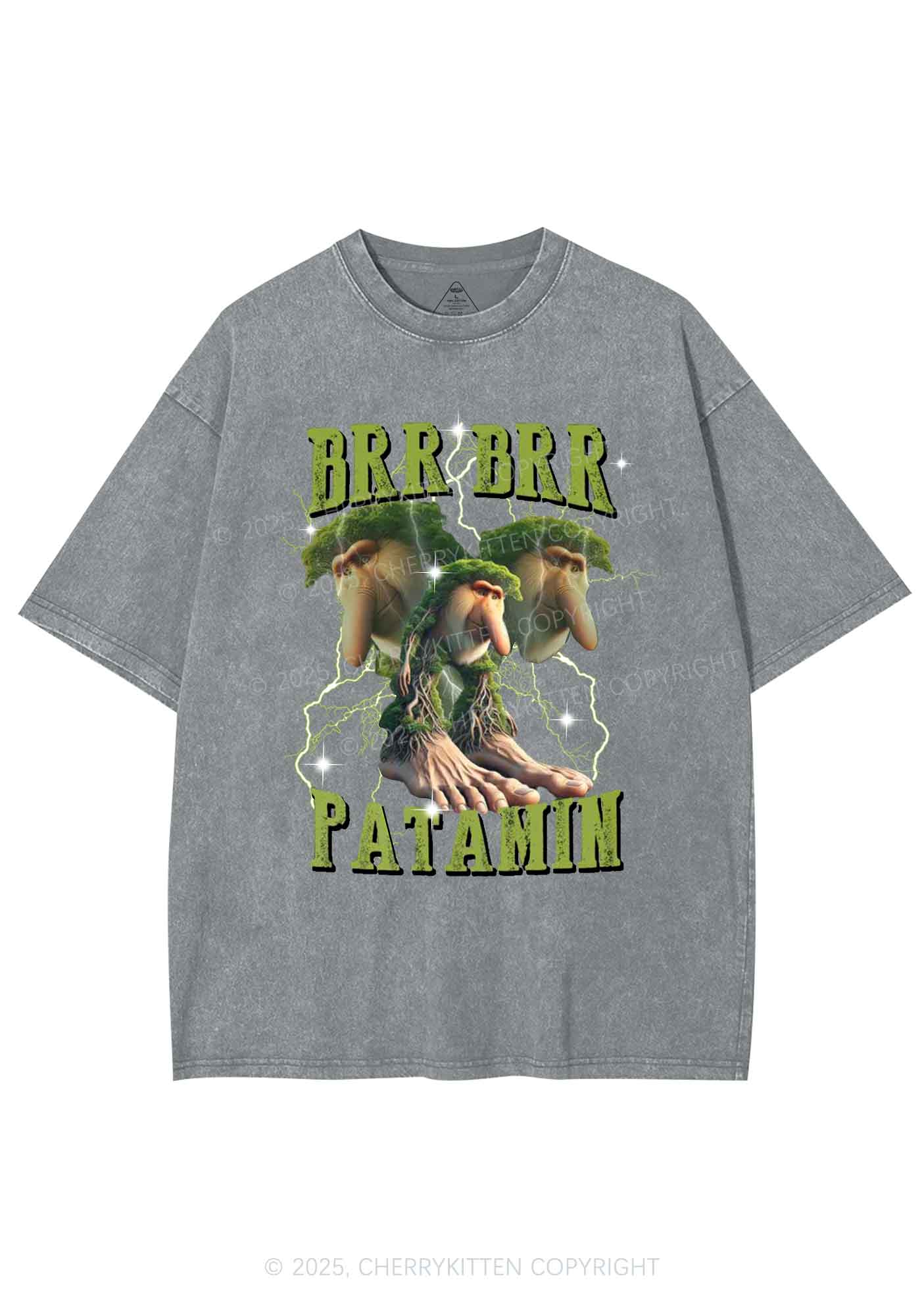 Brr Brr Patapim Italian Brainrot Shirt Y2K Shirts Washed Tee Cherrykitten
