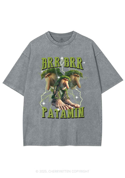 Brr Brr Patapim Italian Brainrot Shirt Y2K Shirts Washed Tee Cherrykitten
