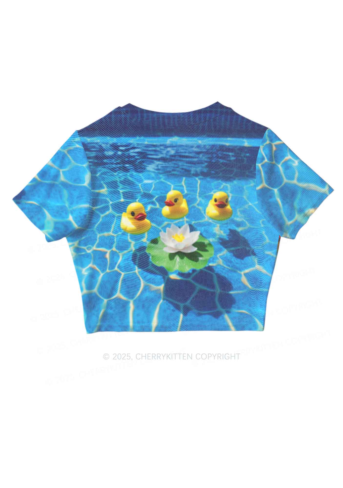 Three Ducks And Lily Y2K Mesh Crop Top Cherrykitten