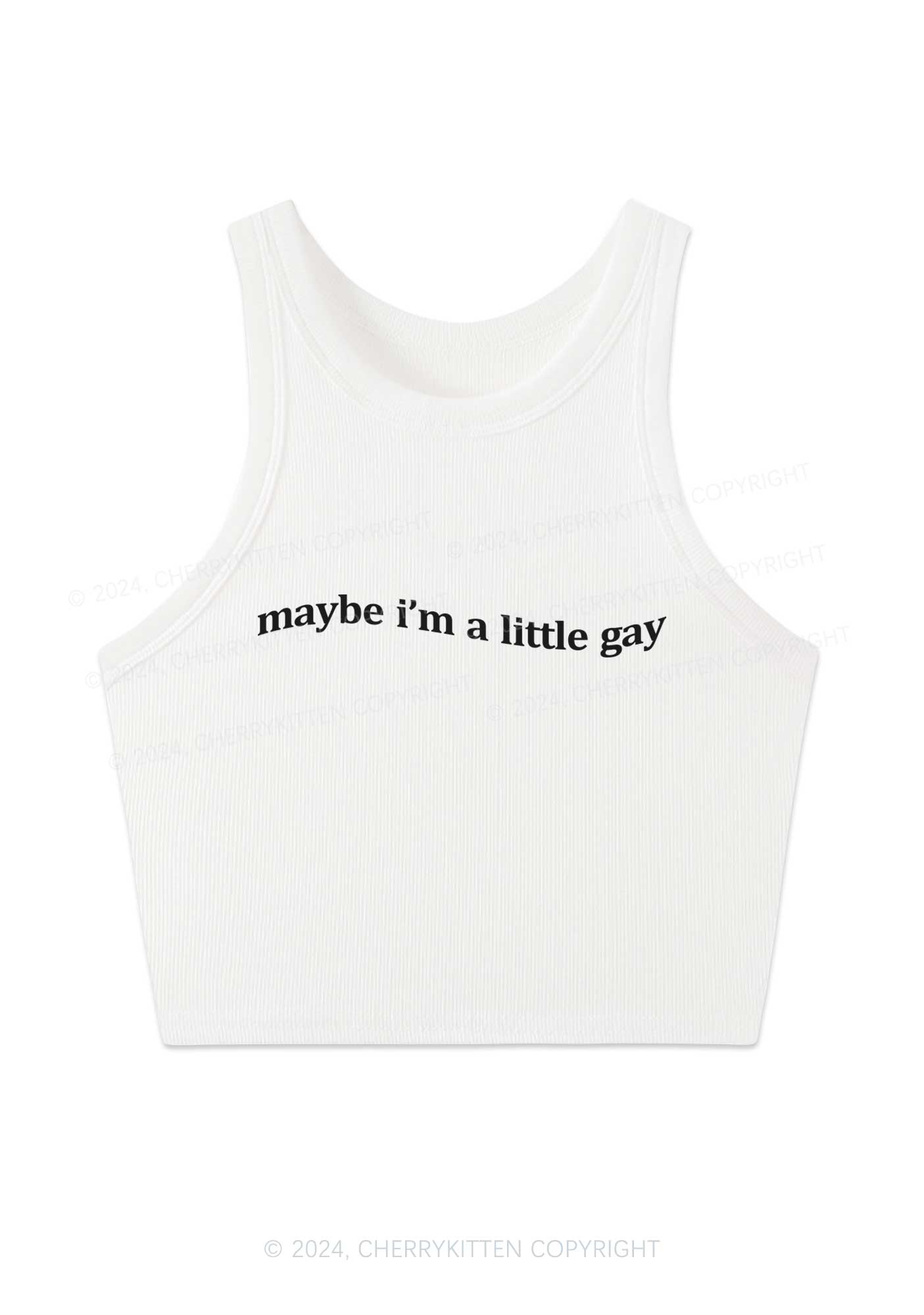 Maybe I'm A Little Gay Y2K Crop Tank Top Cherrykitten