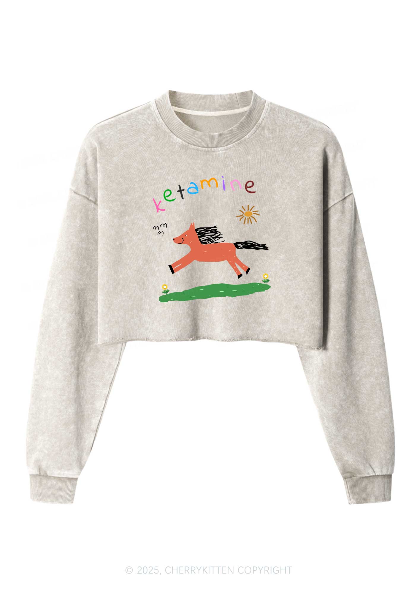 Orange Pony Y2K Crop Washed Sweatshirts Cherrykitten