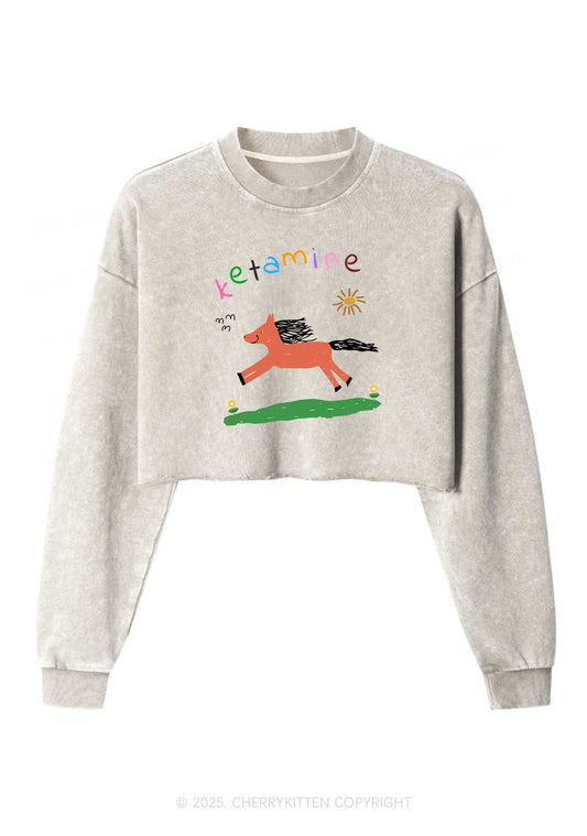Orange Pony Y2K Crop Washed Sweatshirts Cherrykitten