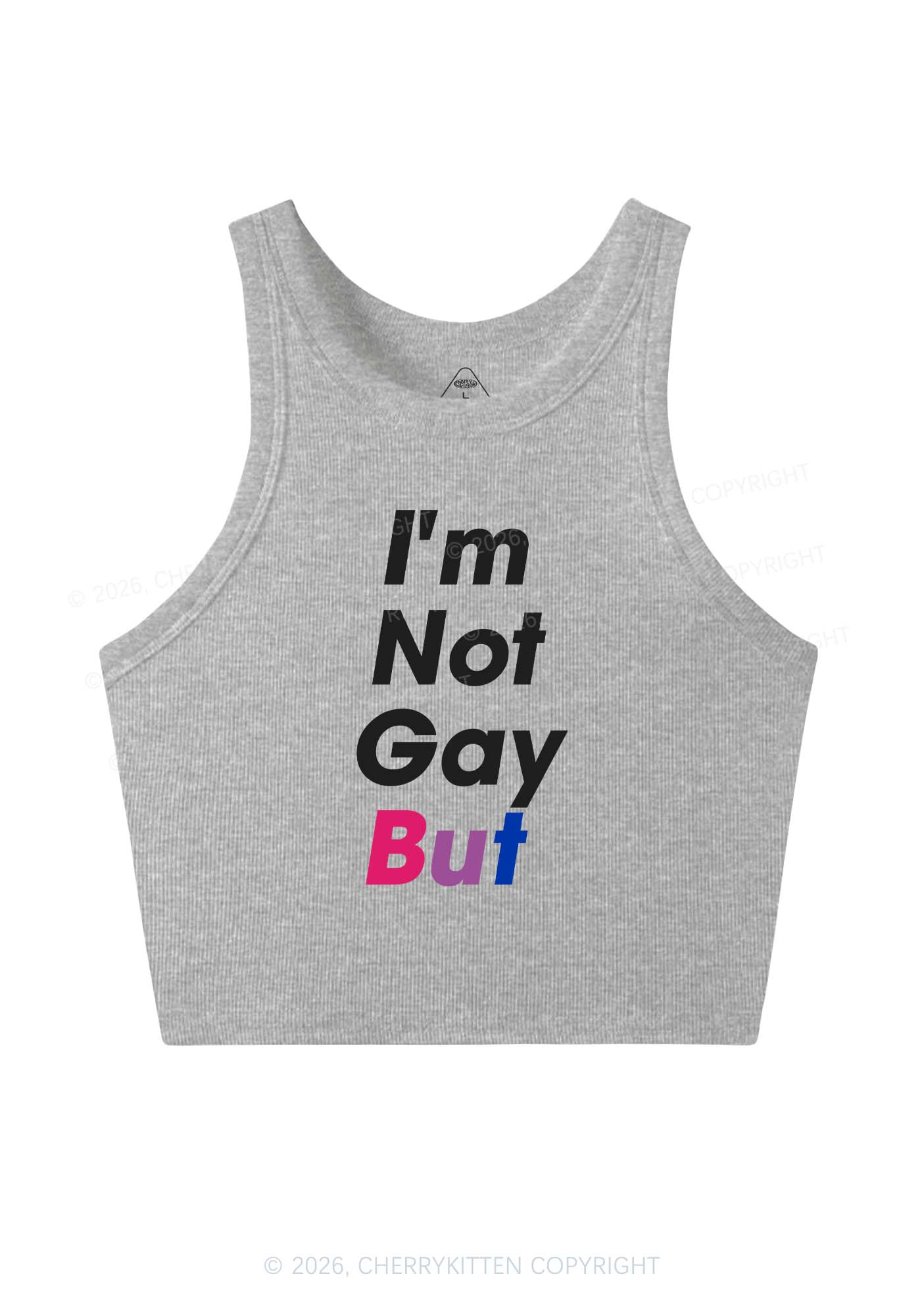Im Not Gay But Pride Y2K Crop Tank Top Cherrykitten