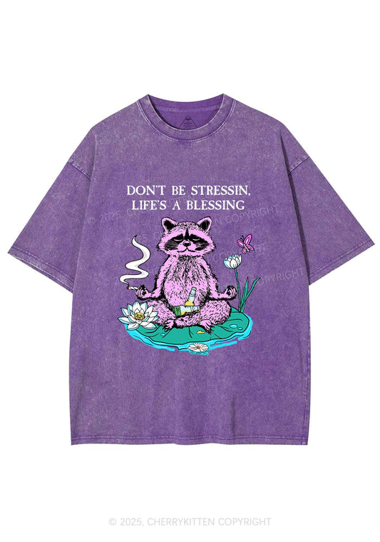 Dont Stress Raccoon Y2K Shirts Washed Tee Cherrykitten
