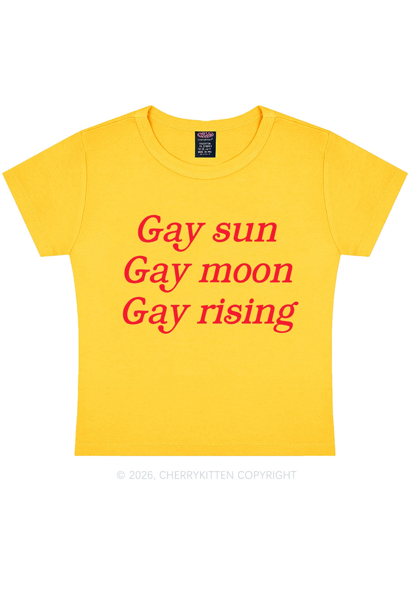 Gay Sun Moon Rising Pride Y2K Baby Tee Cherrykitten