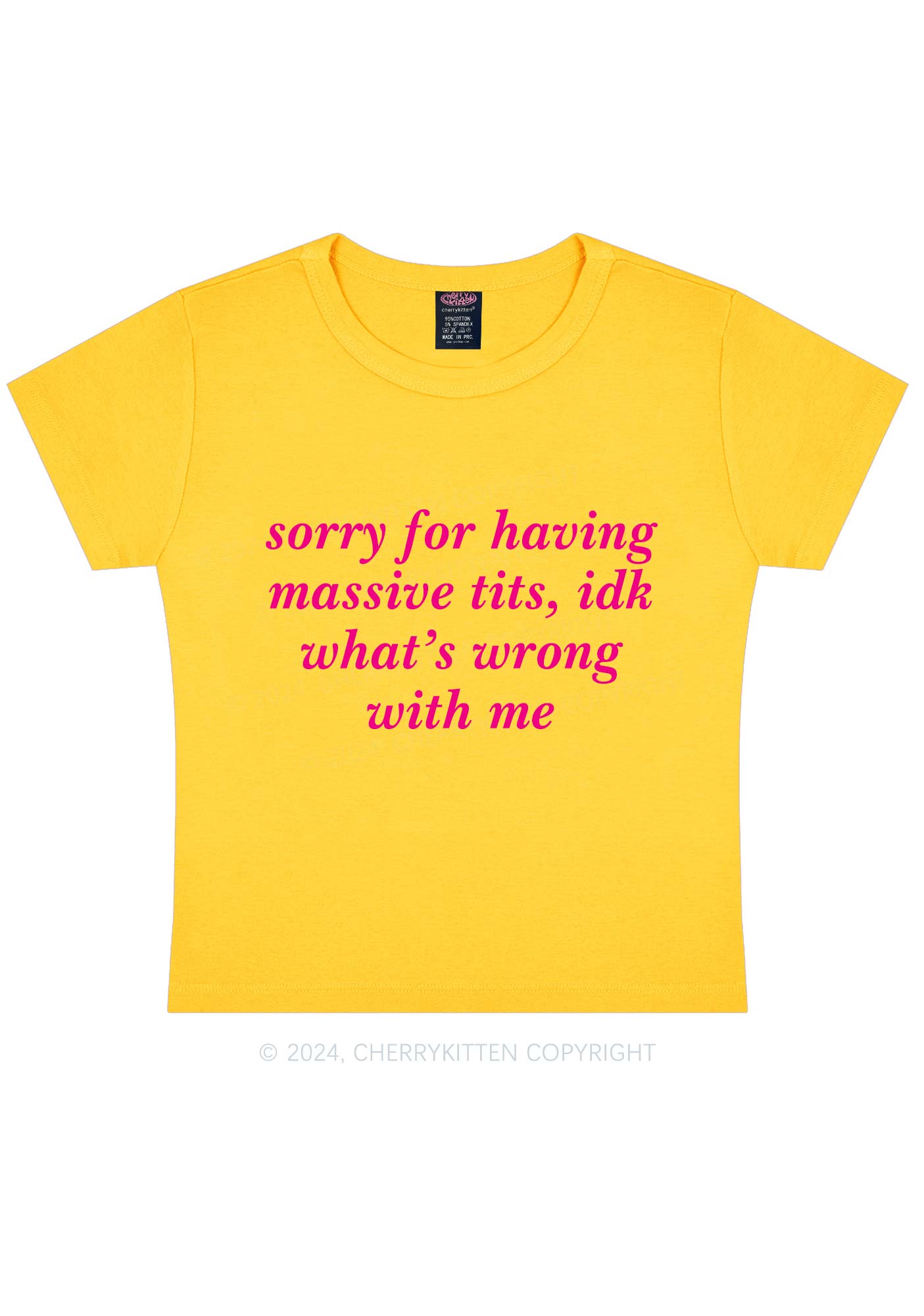 Sorry For Massive Txts Y2K Baby Tee Cherrykitten