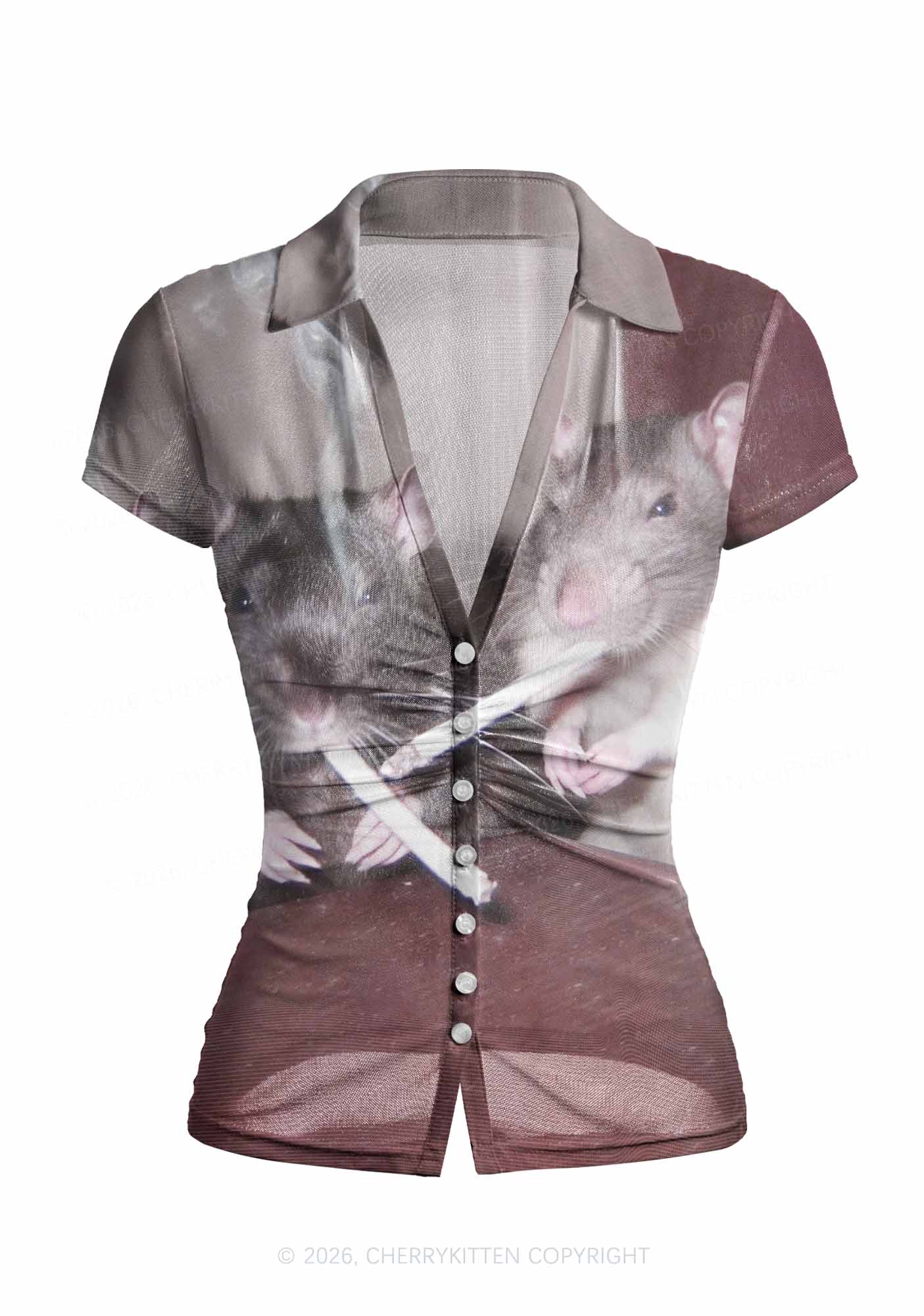Smoking Rats Y2K Mesh Ruched  Waist  V Neck Top Cherrykitten