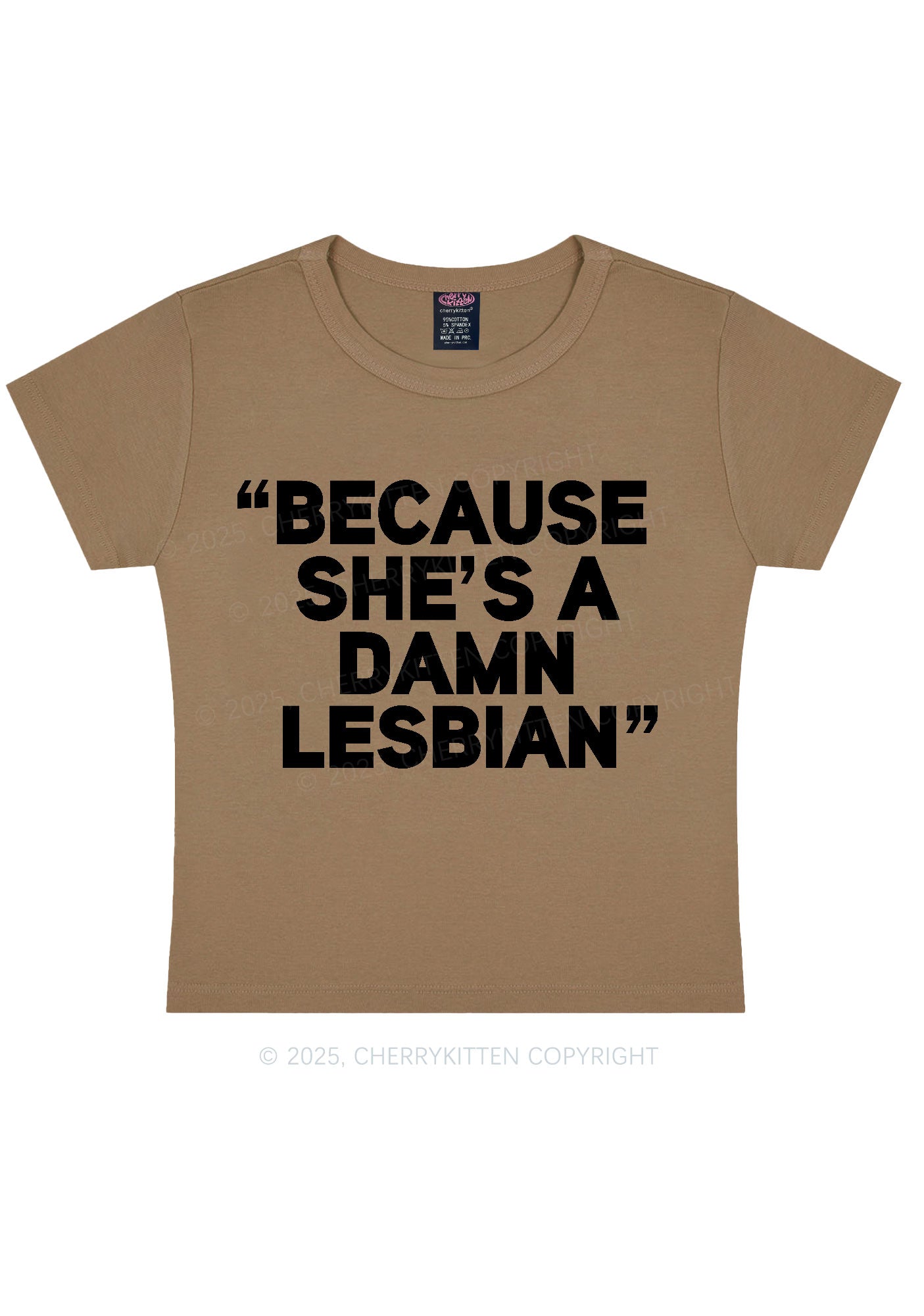 She's A Damn Lesbian Y2K Baby Tee Cherrykitten