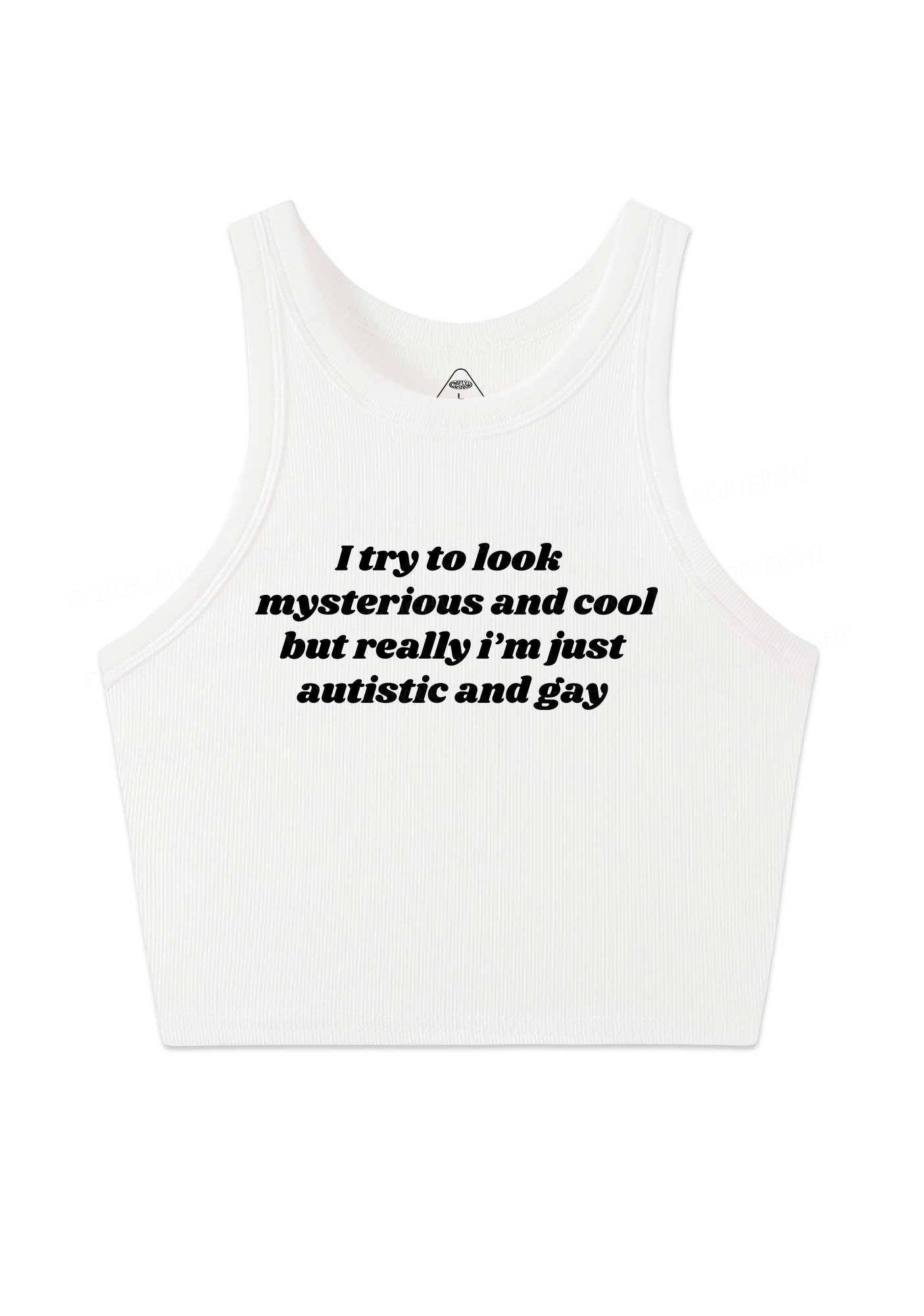 Im Just Autistic And Gay Pride Y2K Crop Tank Top Cherrykitten