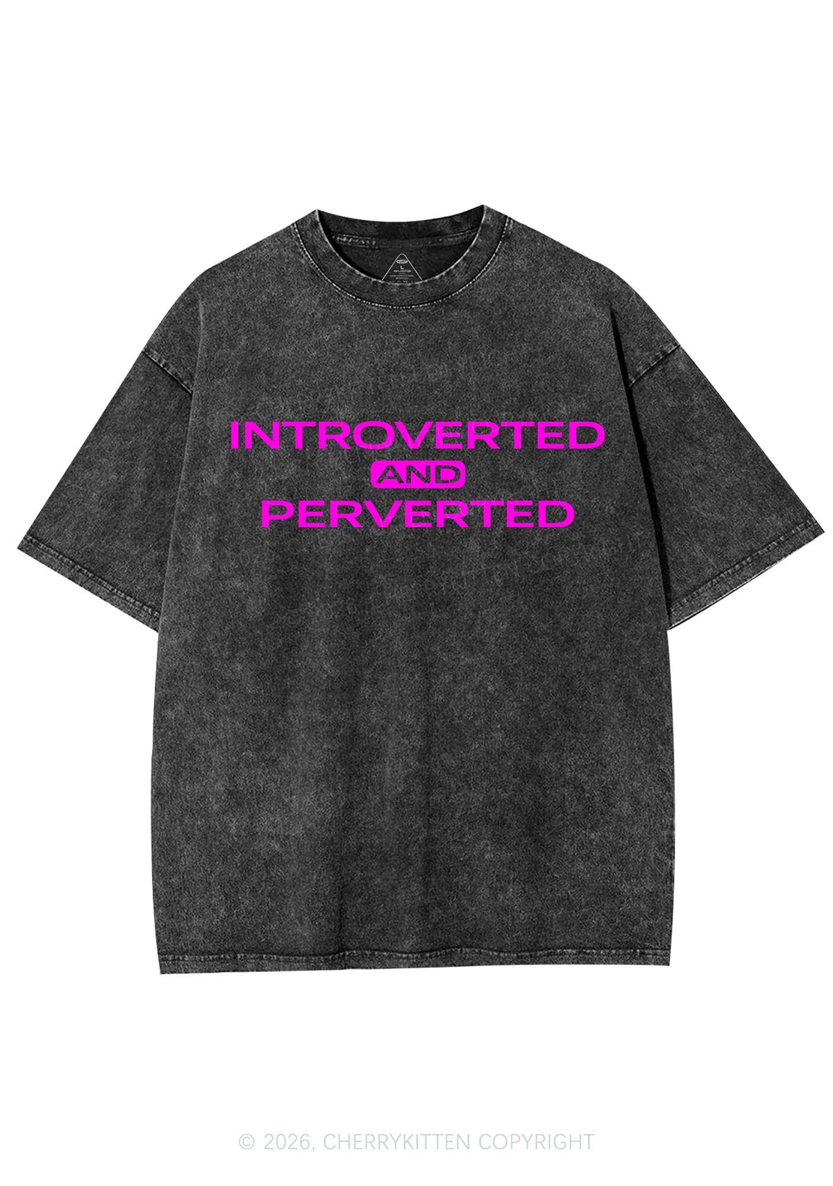 Introverted And Perverted Y2K Shirts Washed Tee Cherrykitten