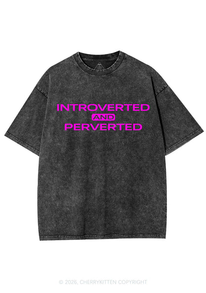 Introverted And Perverted Y2K Shirts Washed Tee Cherrykitten