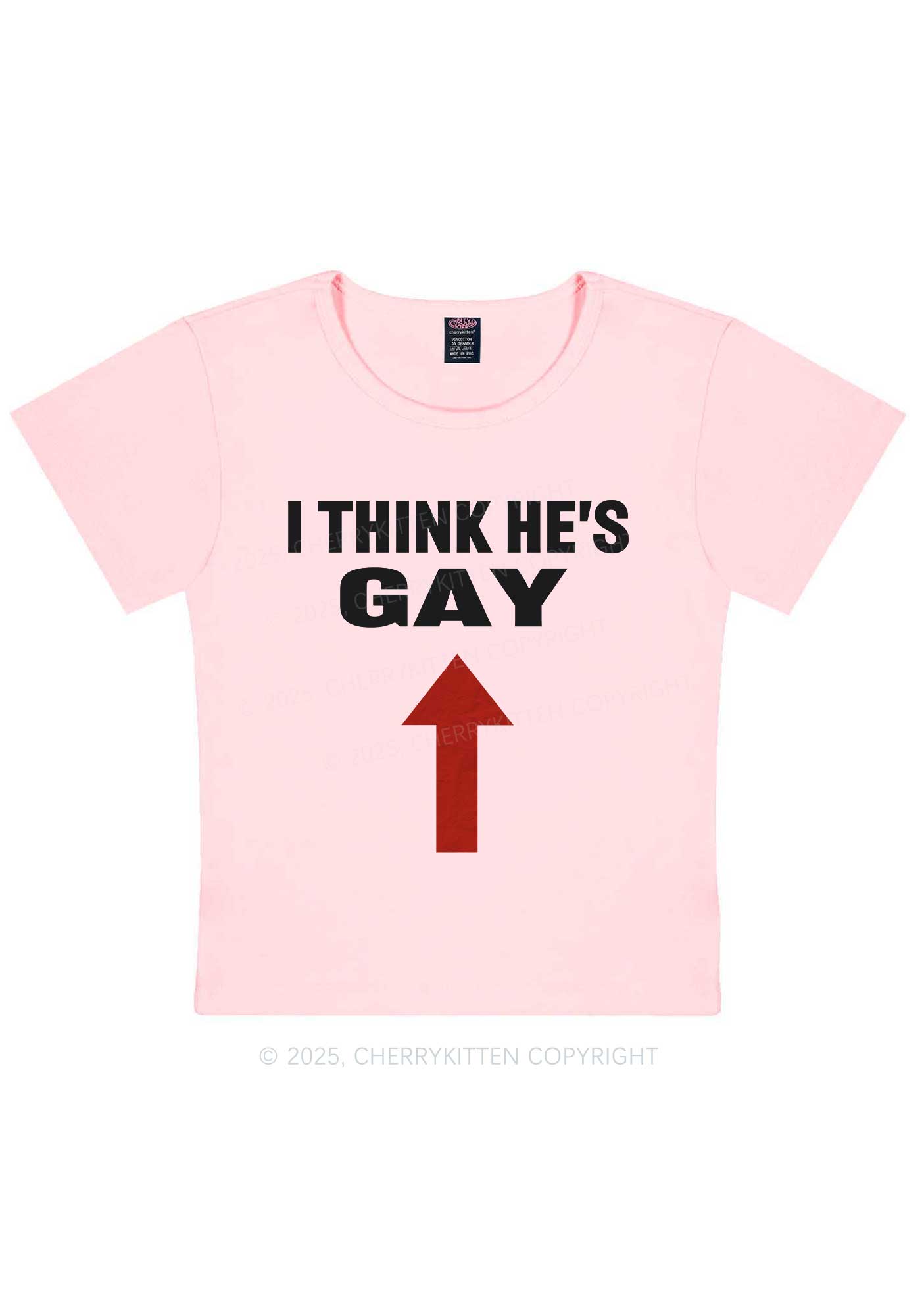 He Is Gay Y2K Baby Tee Cherrykitten