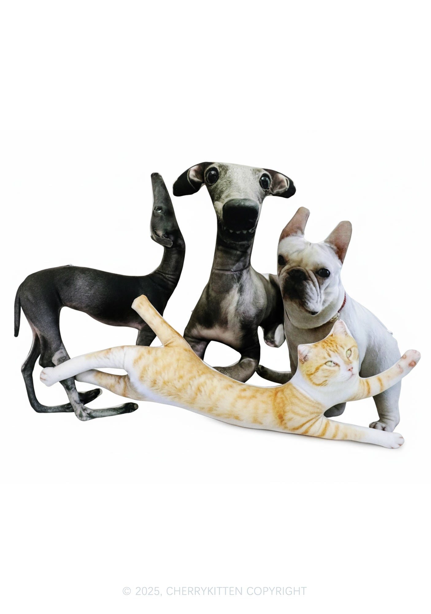 Custom Pet Pillows Y2K Ugly Pillow Cherrykitten