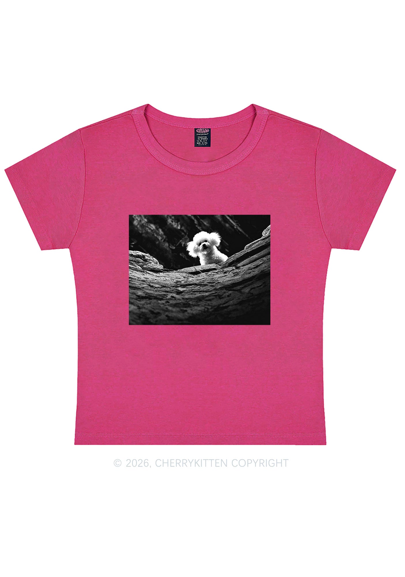 Halloween Bichon Frise Dog Y2K Baby Tee Cherrykitten