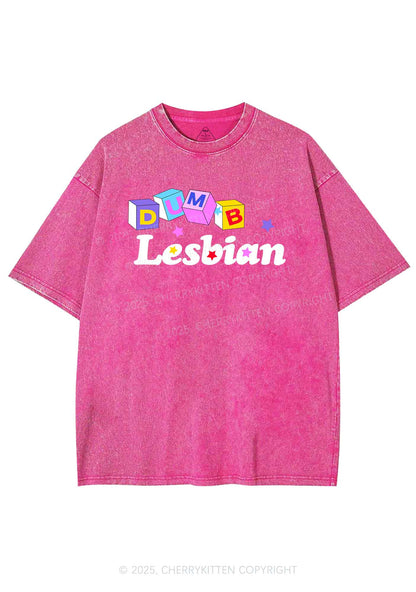 Dumb Lesbian Pride Y2K Shirts Washed Tee Cherrykitten