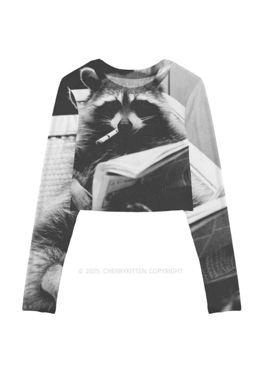 Cool Raccoon Y2K Mesh Long Sleeve Crop Top Cherrykitten