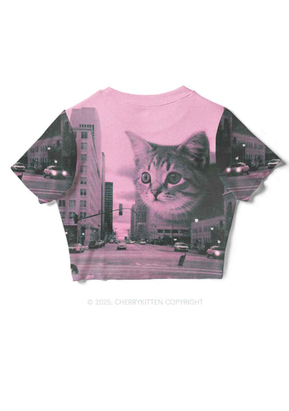 Cat Road Y2K Mesh Crop Top Cherrykitten