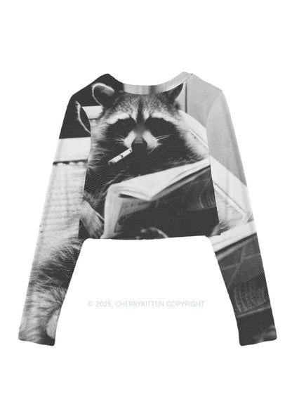 Cool Raccoon Y2K Mesh Long Sleeve Crop Top Cherrykitten