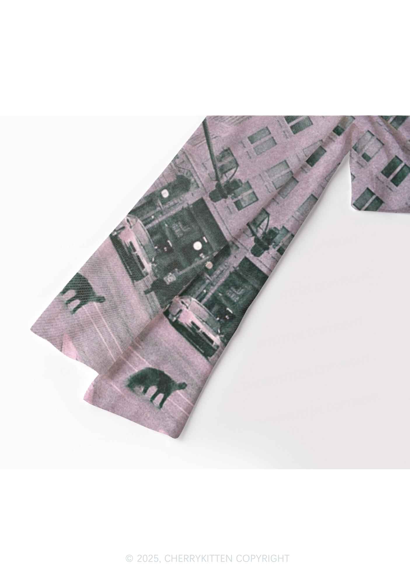Cat Road Y2K Mesh Long Sleeve Crop Top Cherrykitten