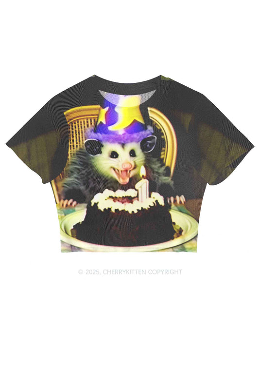 Birthday Rat Y2K Mesh Crop Top Cherrykitten