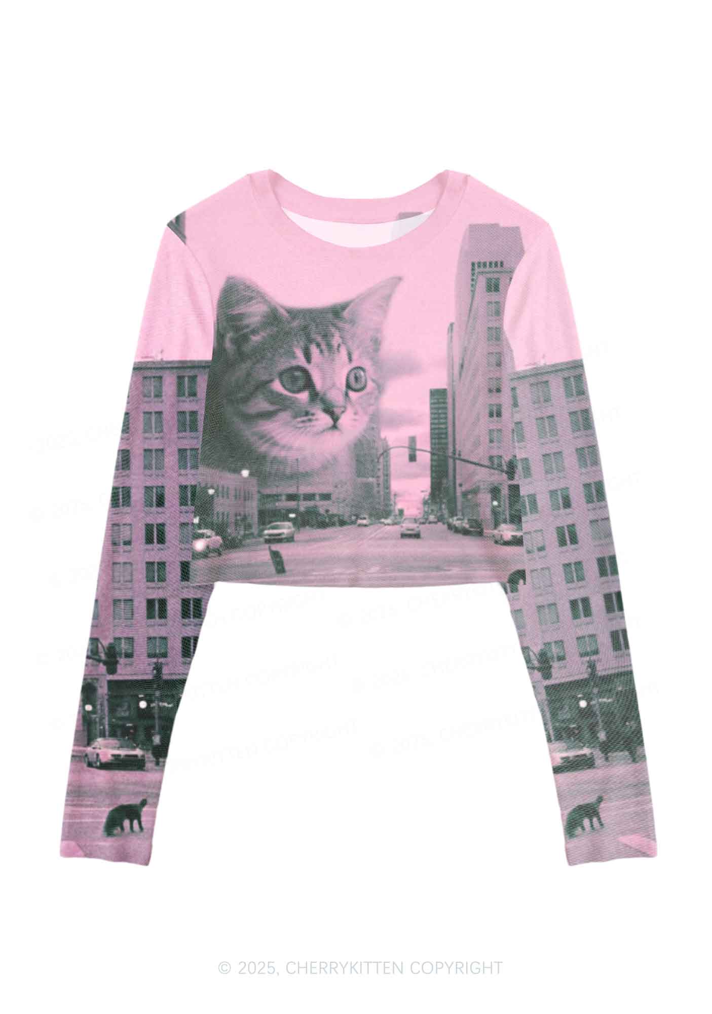 Cat Road Y2K Mesh Long Sleeve Crop Top Cherrykitten