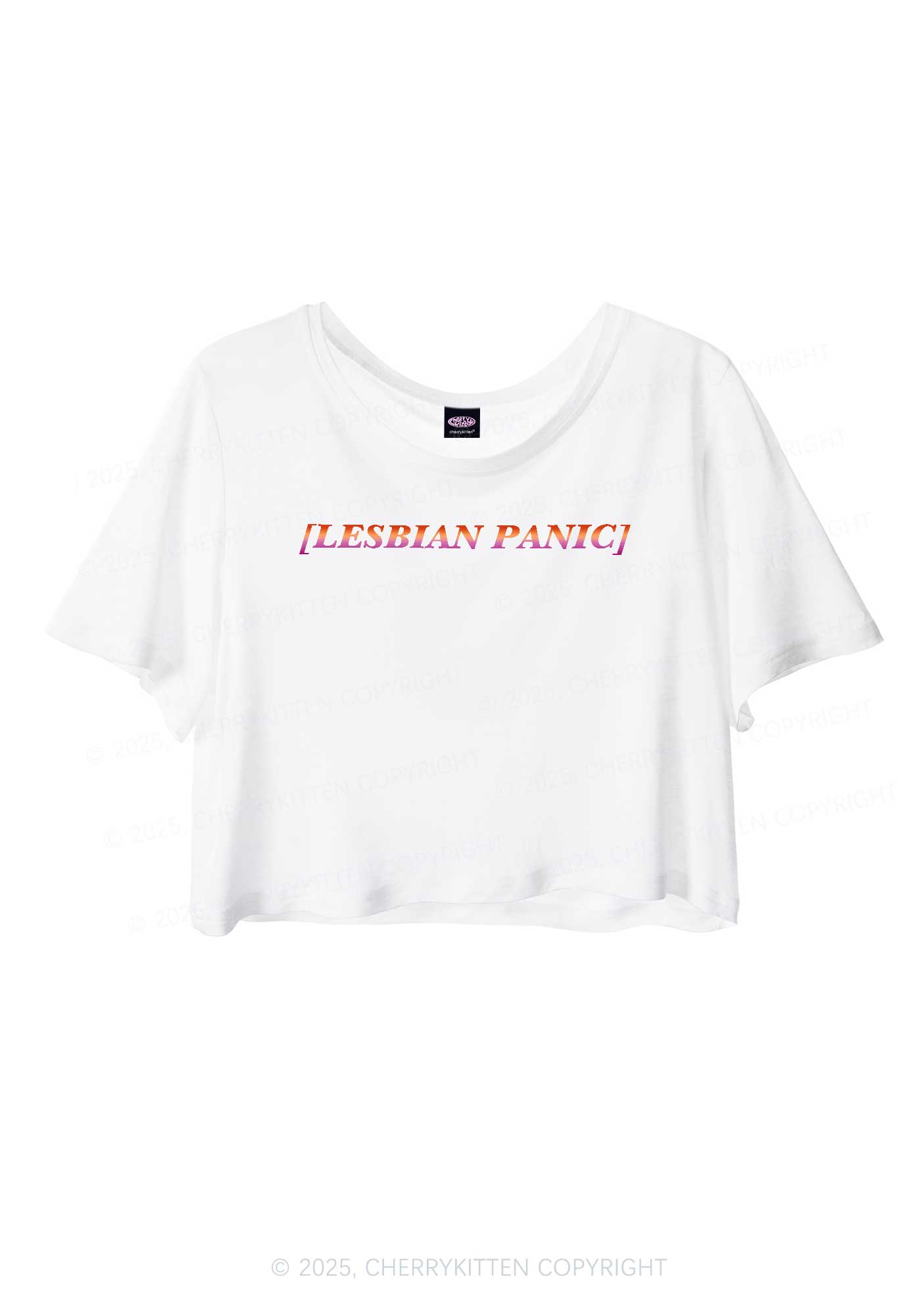 Lesbian Panic Pride Y2K Sheer Crop Tee Cherrykitten