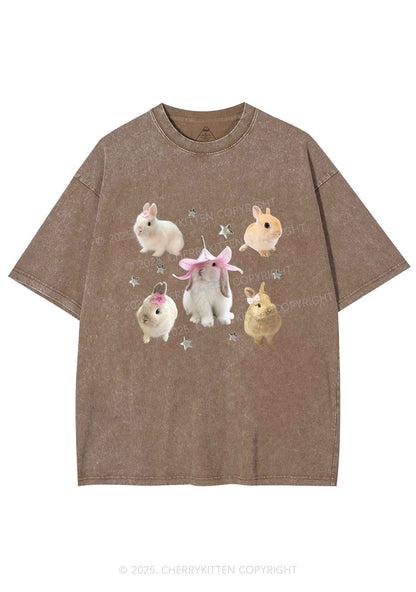 Lovely Rabbits Y2K Shirts Washed Tee Cherrykitten