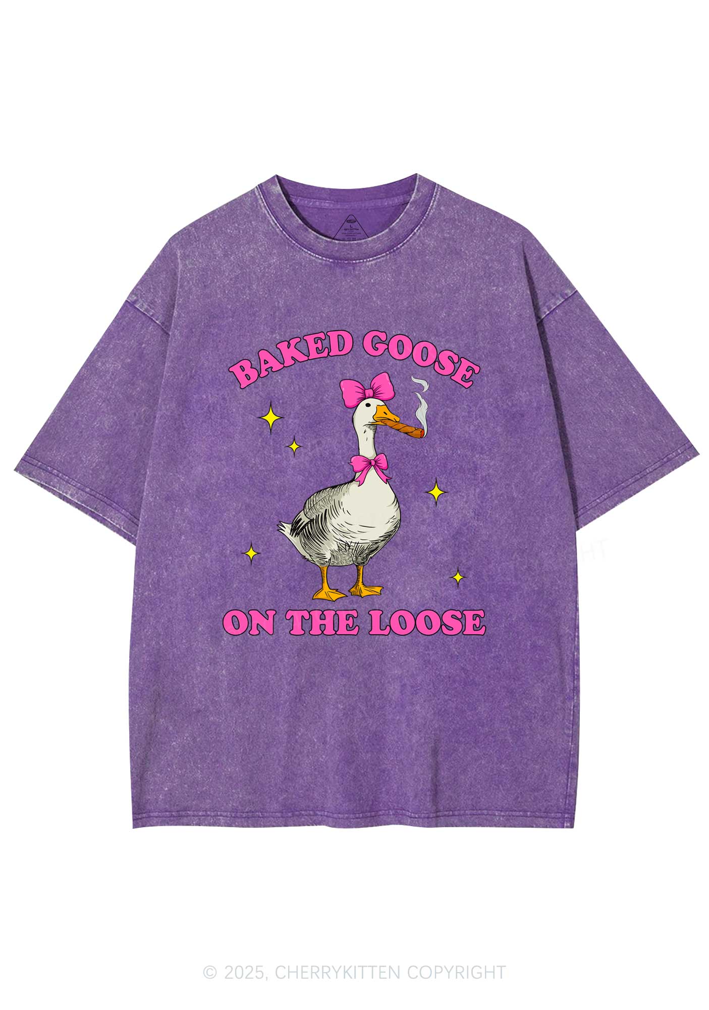 Baked Goose On The Loose Y2K Shirts Washed Tee Cherrykitten