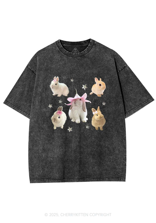 Lovely Rabbits Y2K Shirts Washed Tee Cherrykitten