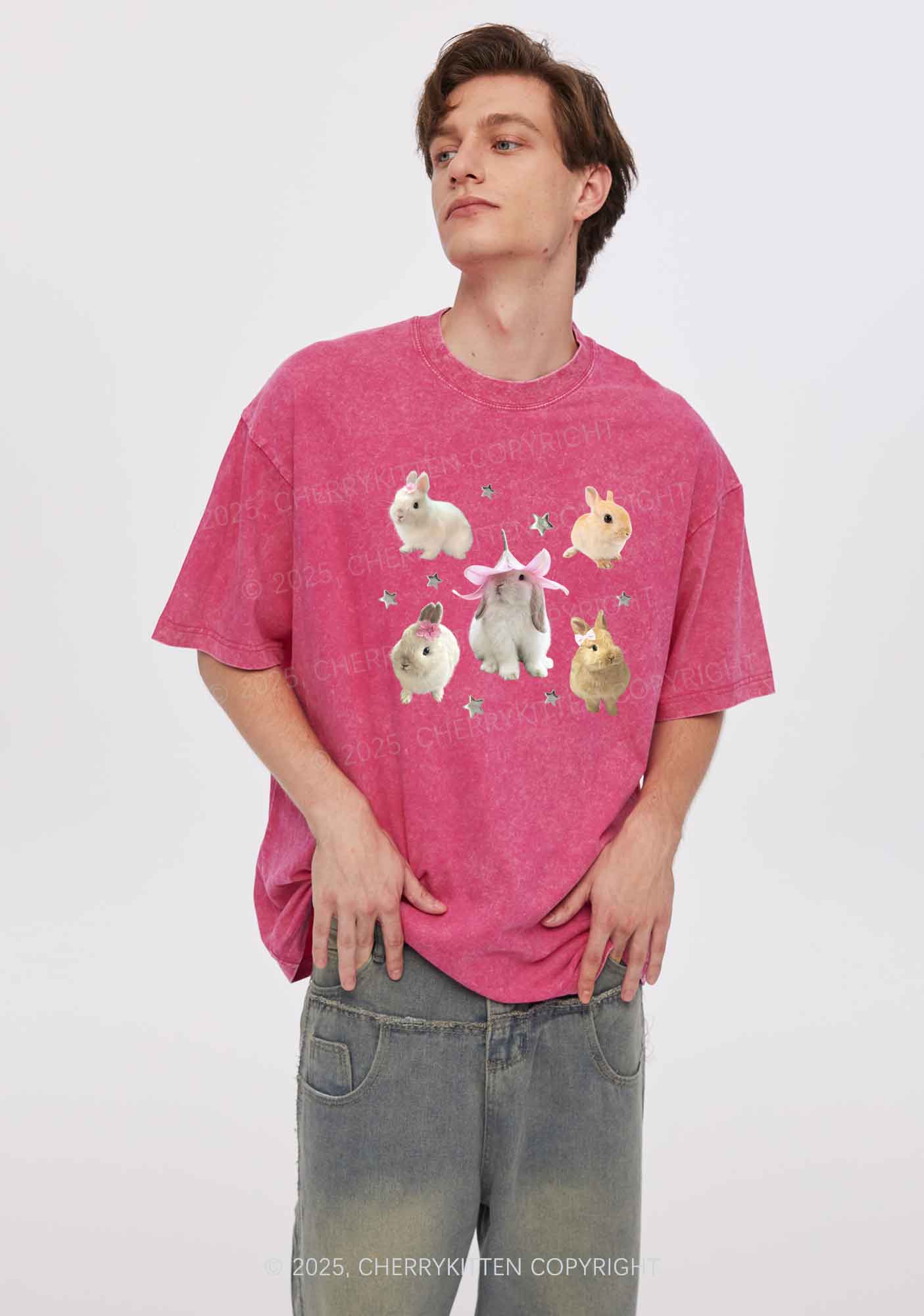 Lovely Rabbits Y2K Shirts Washed Tee Cherrykitten