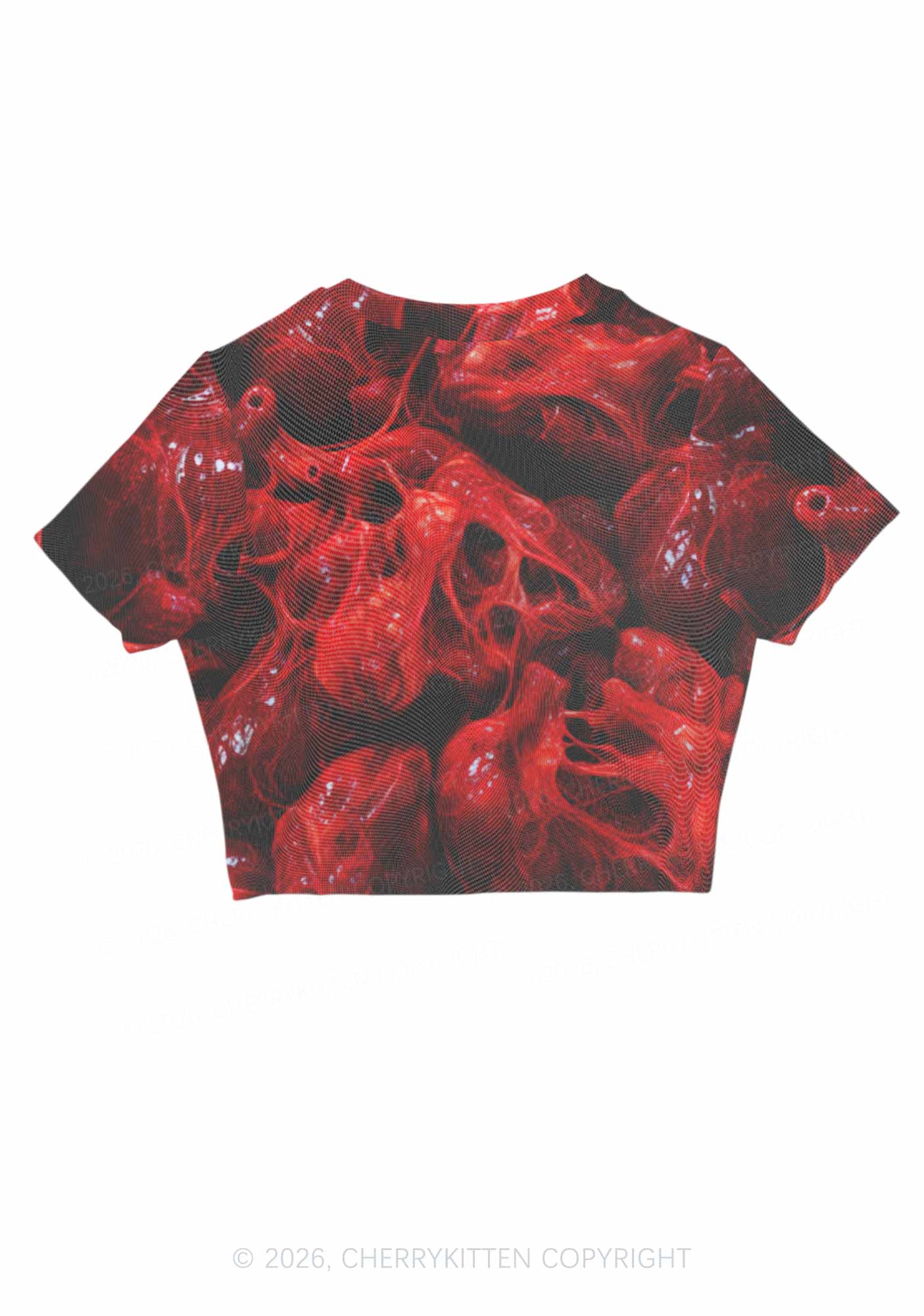 Red Anatomical Hearts Y2K Mesh Crop Top Cherrykitten