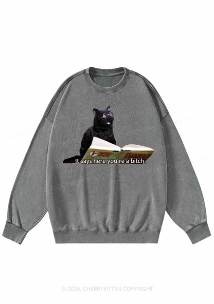It Says Here Youre A Bixxh Y2K Washed Sweatshirts Cherrykitten