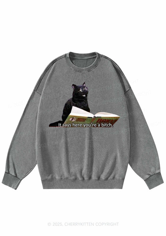 It Says Here Youre A Bixxh Y2K Washed Sweatshirts Cherrykitten