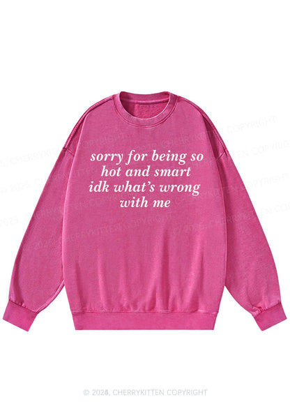 Sorry For Being So Smart Y2K Washed Sweatshirts Cherrykitten