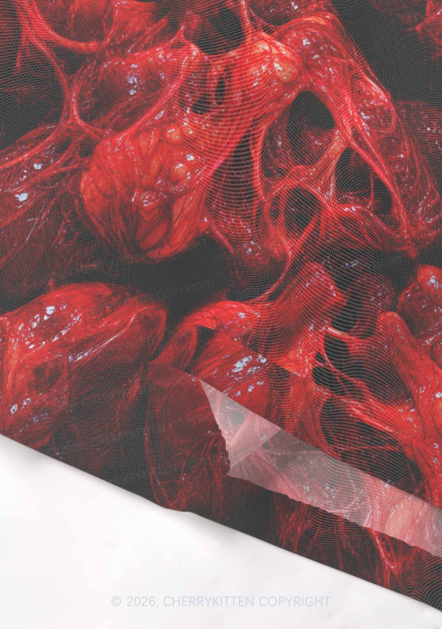 Red Anatomical Hearts Y2K Mesh Crop Top Cherrykitten