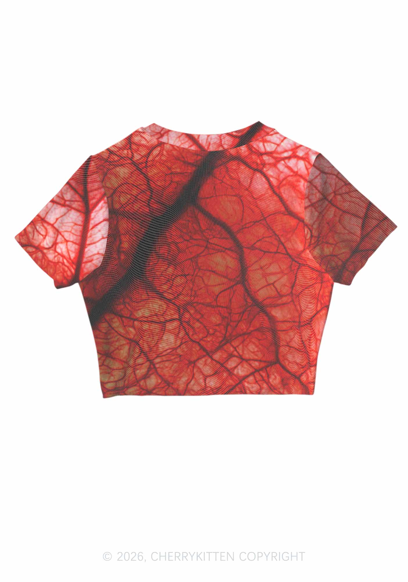 Halloween Red Blood Vessel Y2K Mesh Crop Top Cherrykitten
