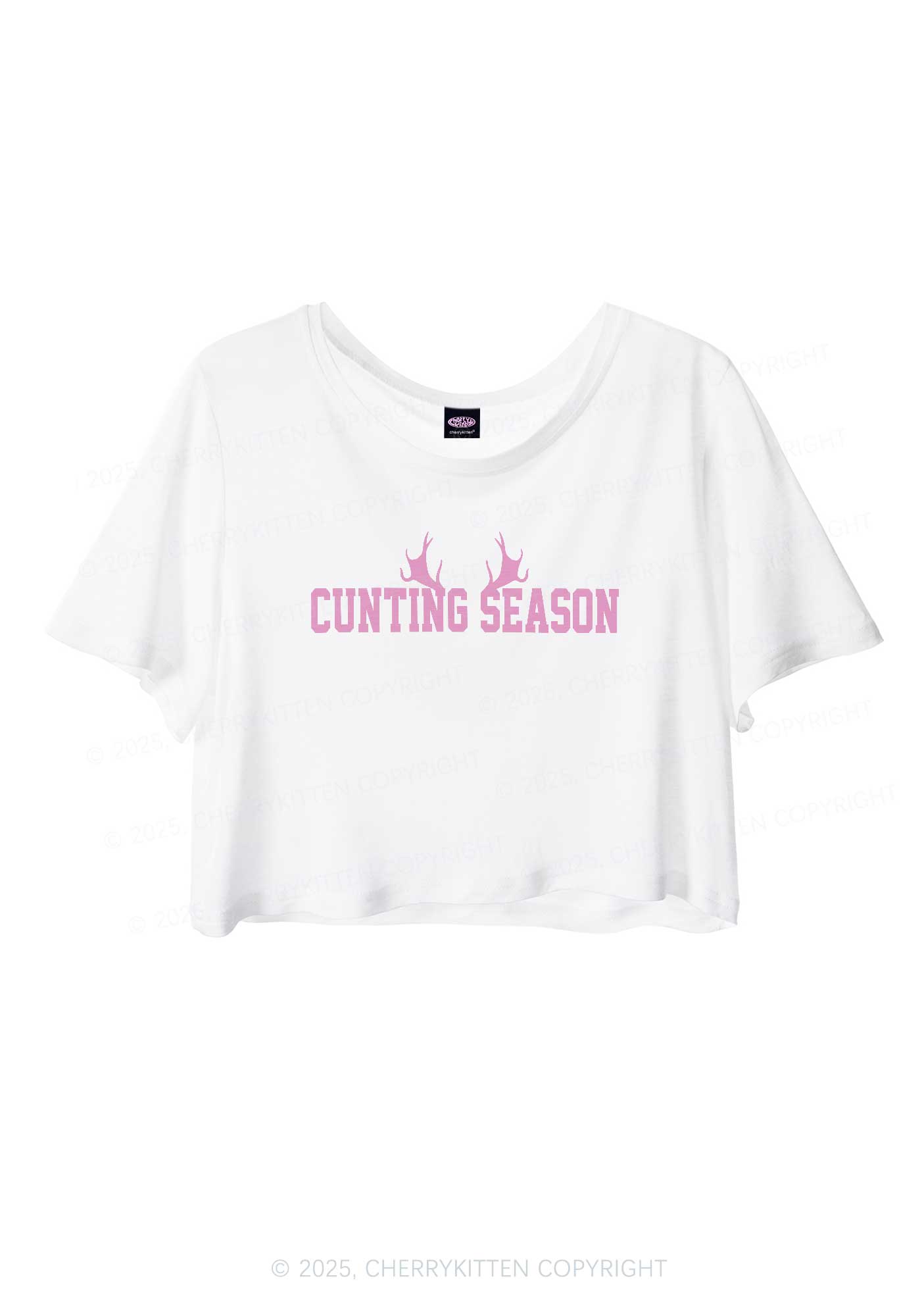 Cunting Season Y2K Sheer Crop Tee Cherrykitten