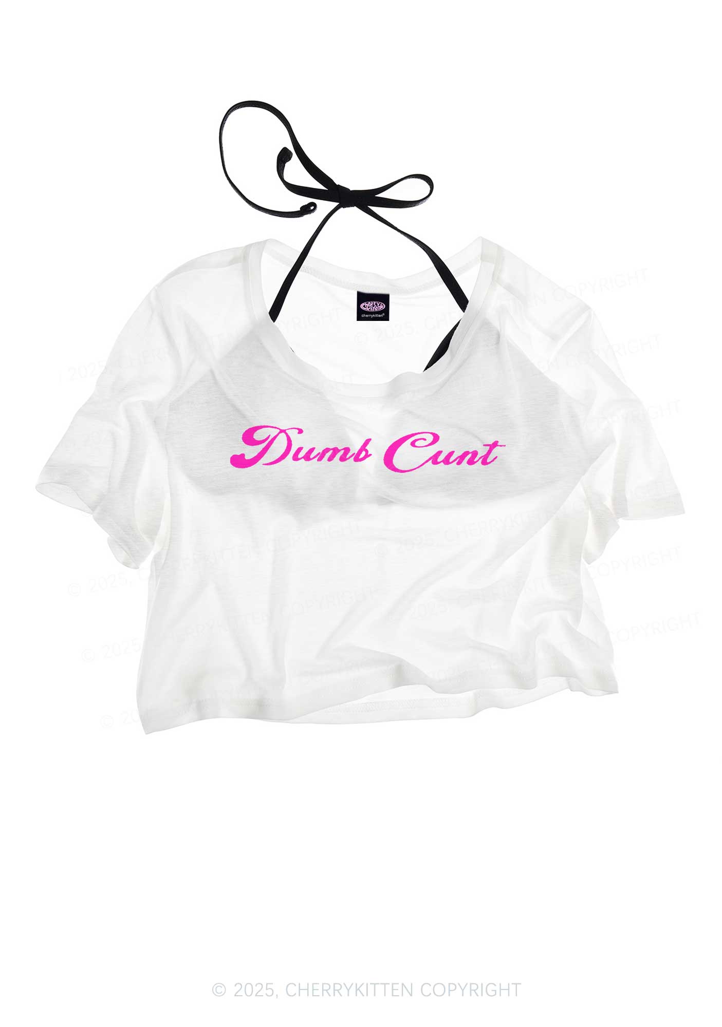 Dumb Cxxt Y2K Sheer Crop Tee Cherrykitten