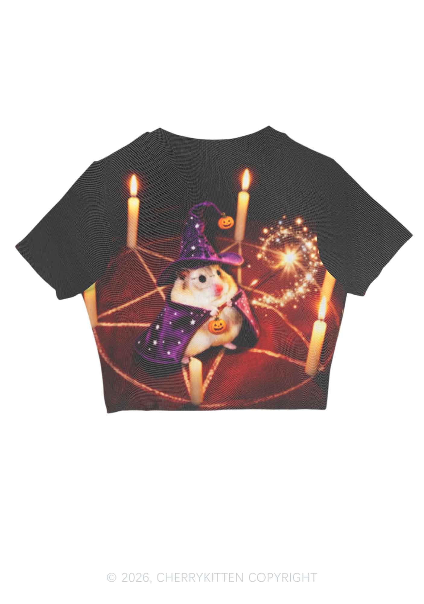 Halloween Wizard Hamster Y2K Mesh Crop Top Cherrykitten