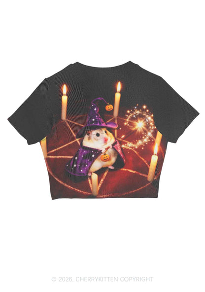 Halloween Wizard Hamster Y2K Mesh Crop Top Cherrykitten