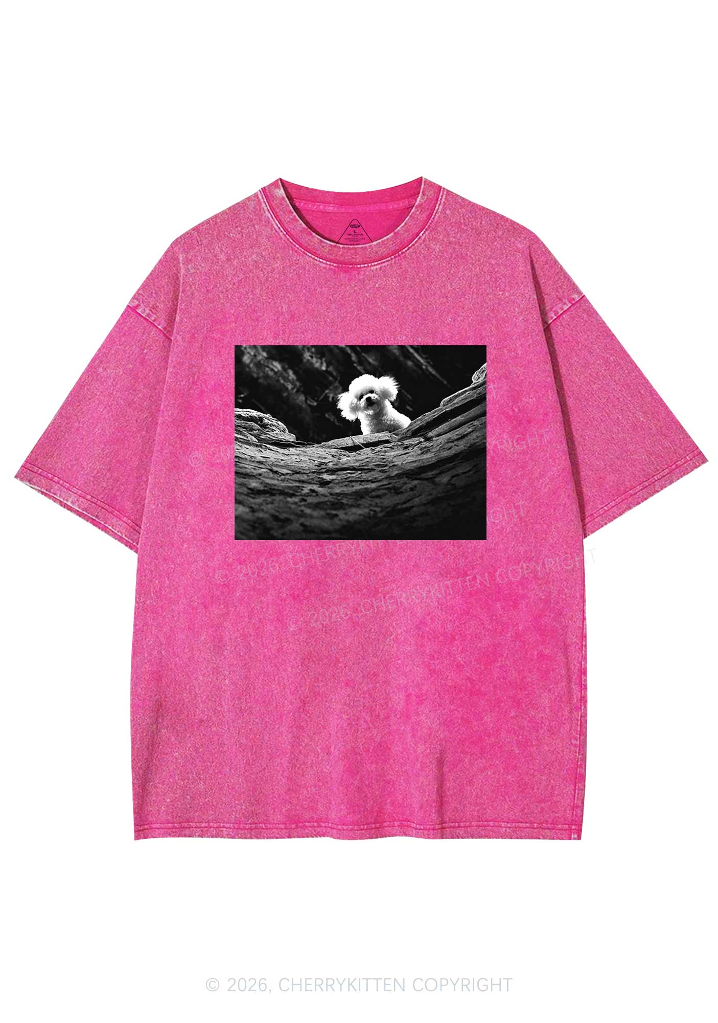 Halloween Bichon Frise Dog Y2K Shirts Washed Tee Cherrykitten