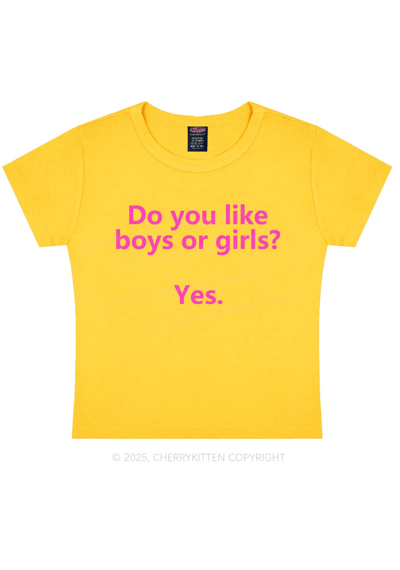 Do You Like Boys Or Girls Pride Y2K Baby Tee Cherrykitten