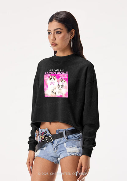 Alpha Male Y2K Crop Washed Sweatshirts Cherrykitten