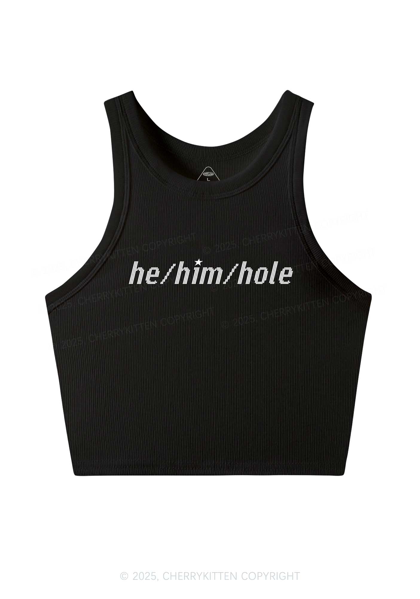 He Him Hole Pride Y2K Crop Tank Top Cherrykitten
