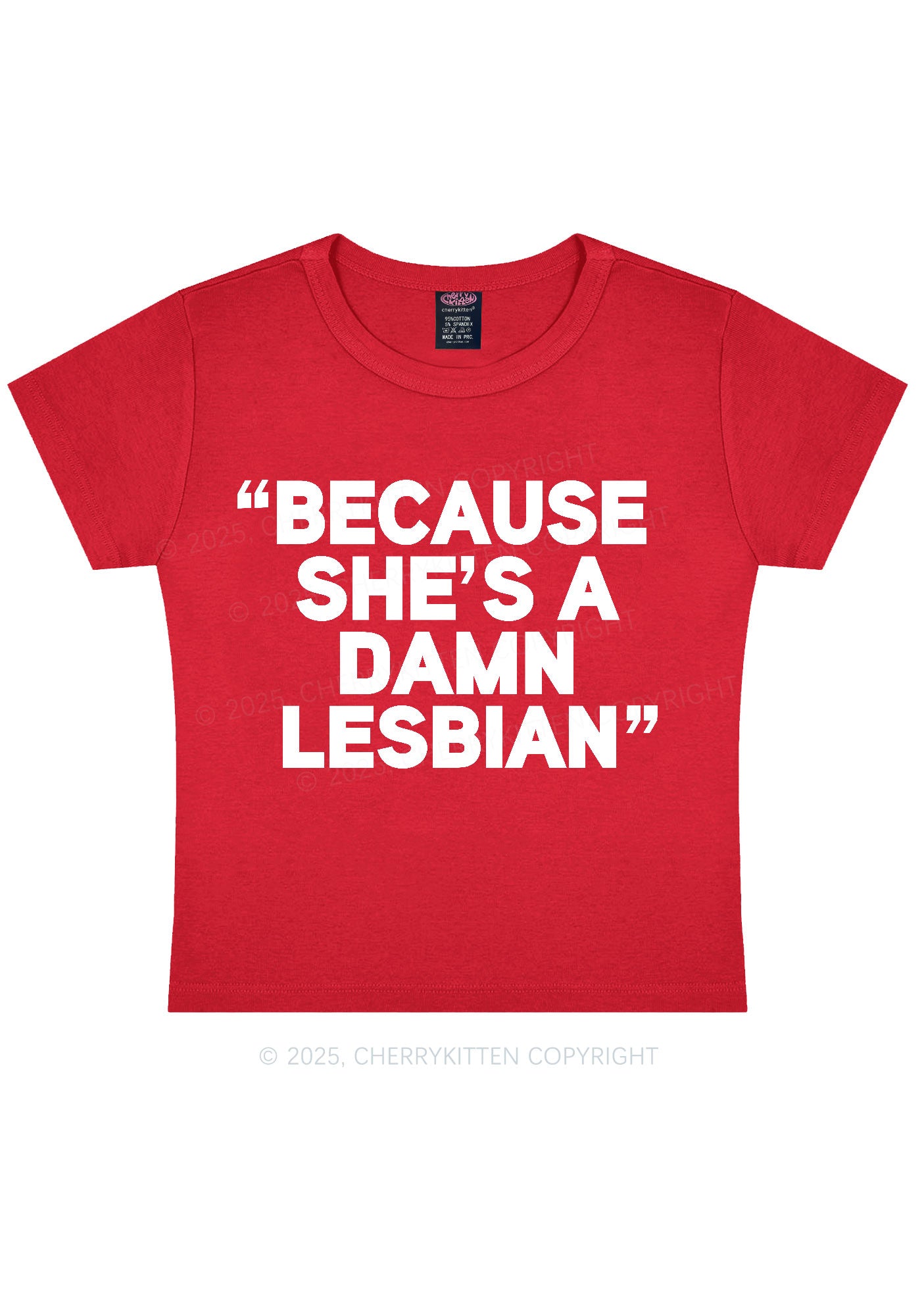 She's A Damn Lesbian Y2K Baby Tee Cherrykitten