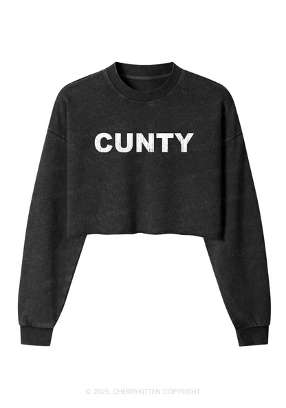 Cunty Y2K Crop Washed Sweatshirts Cherrykitten