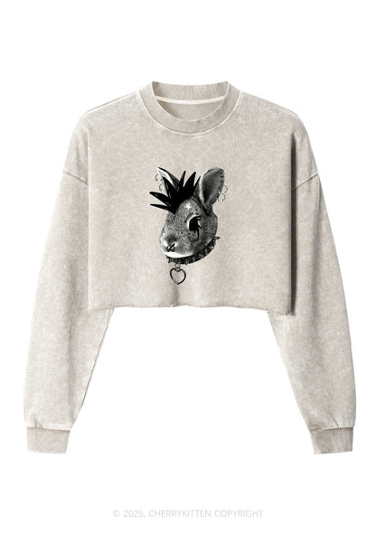 Custom Punk Pet Y2K Crop Washed Sweatshirts Cherrykitten