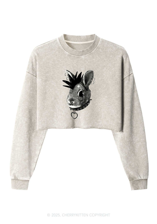 Custom Punk Pet Y2K Crop Washed Sweatshirts Cherrykitten