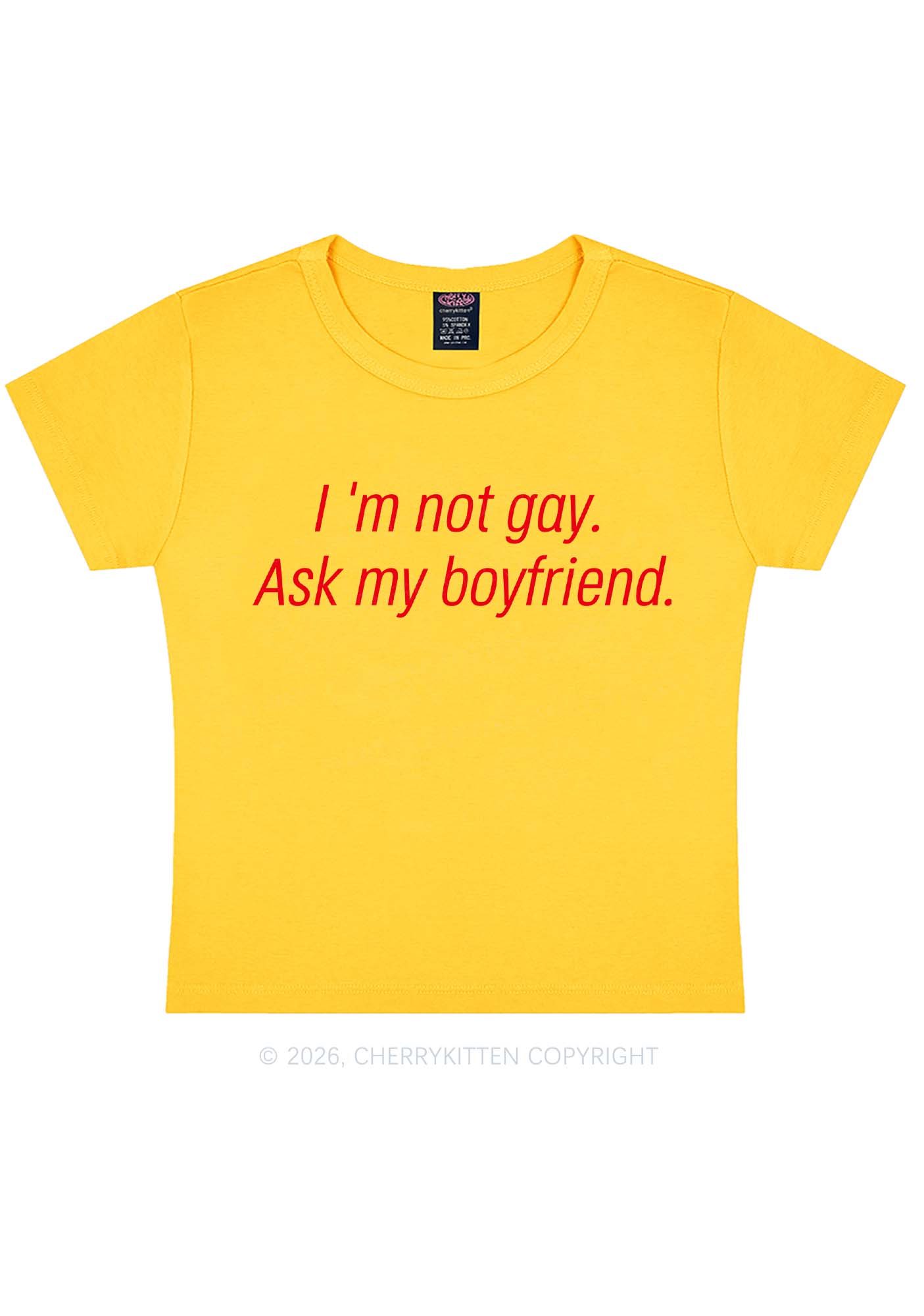 Im Not Gay Pride Y2K Baby Tee Cherrykitten